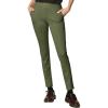 Wb2334_olive