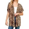 Wsk1310_leopard