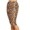Wb1147_leopard