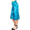 Wb2387_teal